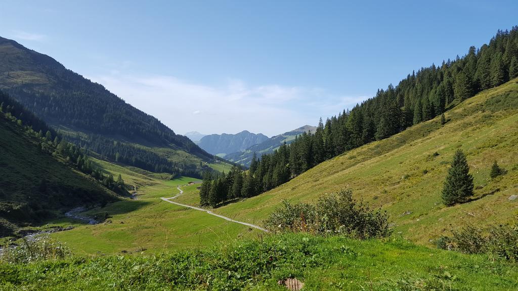 阿尔卑巴赫Studio Schwarzenauer公寓 外观 照片